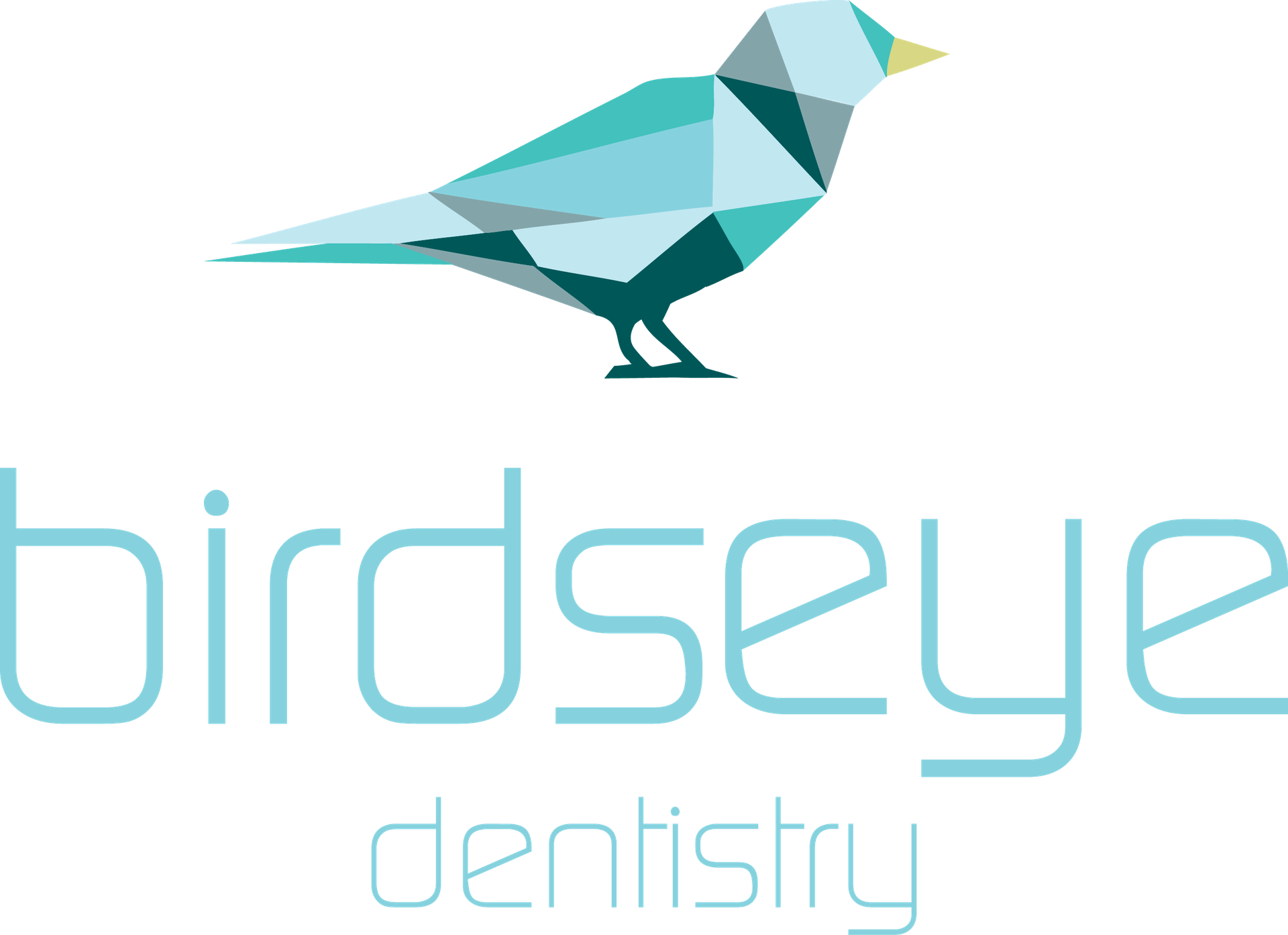 Birdseye Dentistry